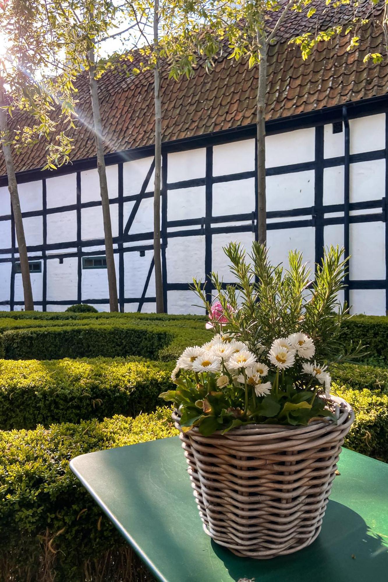 Gardens & Apotekarns B&B Simrishamn Extérieur photo